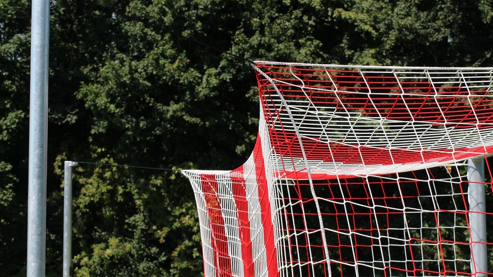 goal net for mobile goals