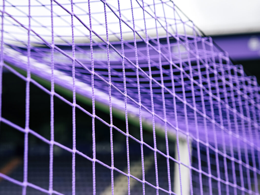 Lila Tornetze in unterschiedliche Größen von artec Sportgeräte